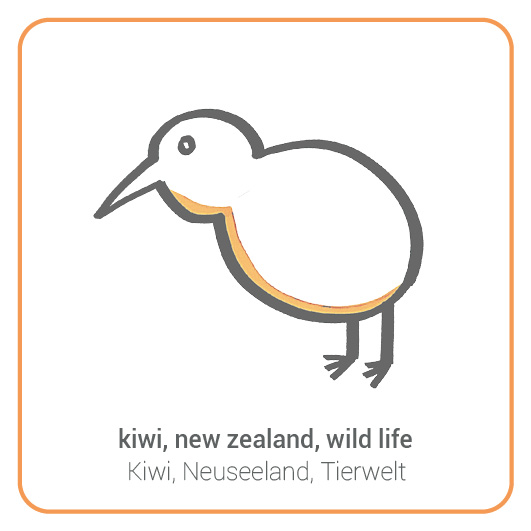 Kiwi - Kiwi