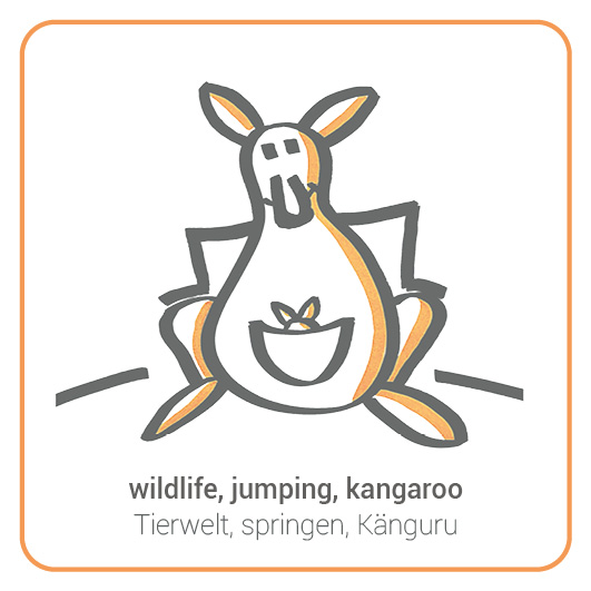 Kangeroo - Känguru