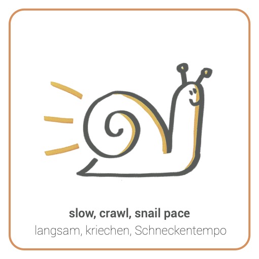 Snail - Schnecke